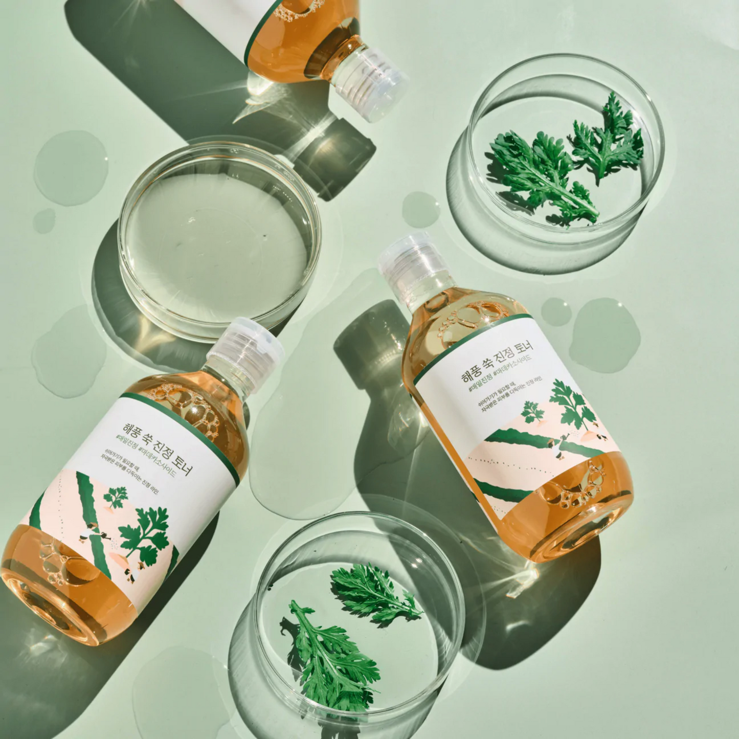 Mugwort Calming Toner by Round Lab